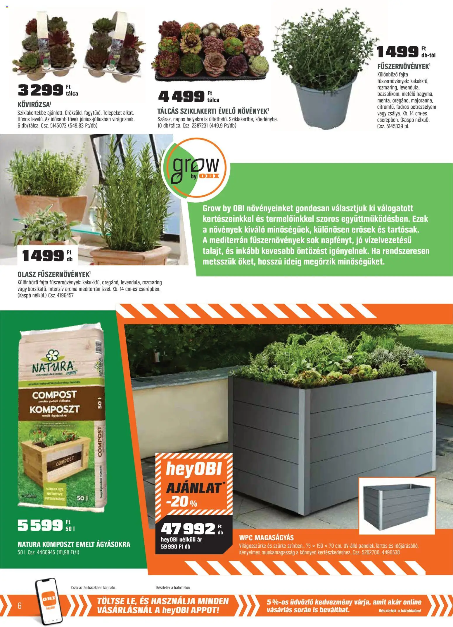 OBI akciós ujság - amely érvényes a következő dátumtól: 31.03.2026 | Oldal: 6 | Termékek: Petrezselyem, Magaságyás, Kaspó