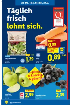 Lidl Aktionen – gültig ab 18.09.2025 | Seite: 4