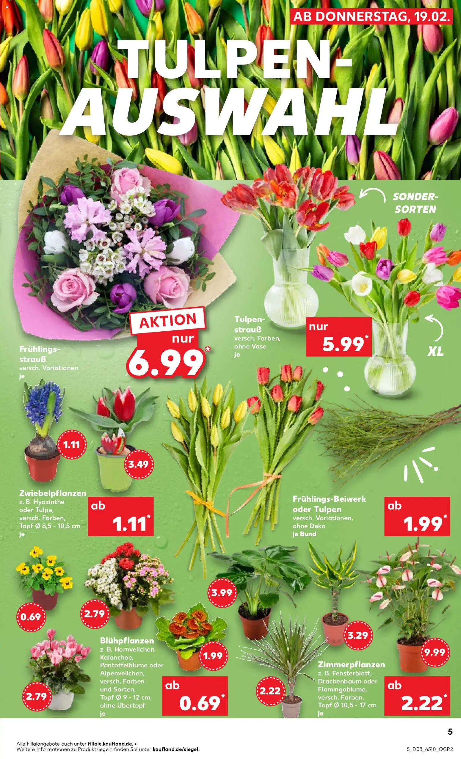 Kaufland prospekt Völklingen	 – gültig ab 19.02.2026 | Seite: 5 | Produkte: Vase