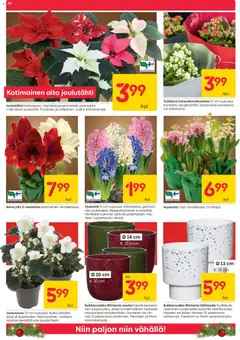 Rusta-mainoslehti voimassa 01.12.2025 alkaen | Sivu: 20 | Tuotteet: Kukkaruukku