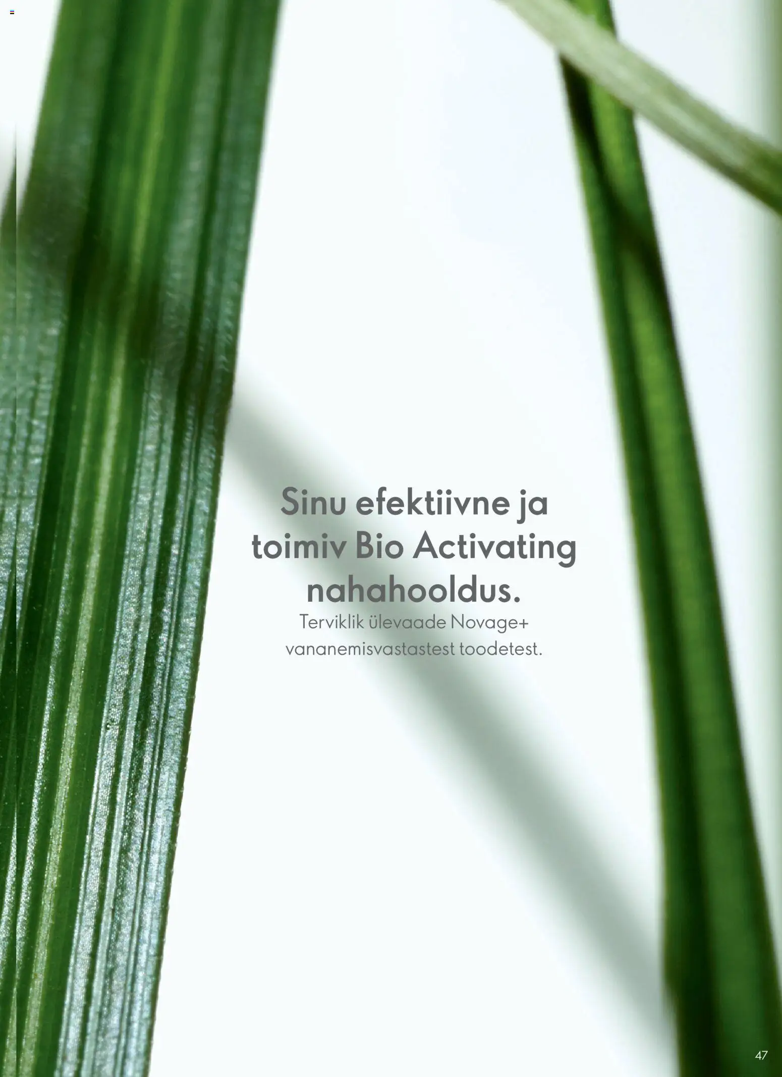 {H1} | Lehekülg: 47