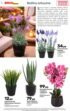 Pogląd oferty "Brico Marché gazetka - Wiosna" - ważna od 04.03.2026 | Strona: 33