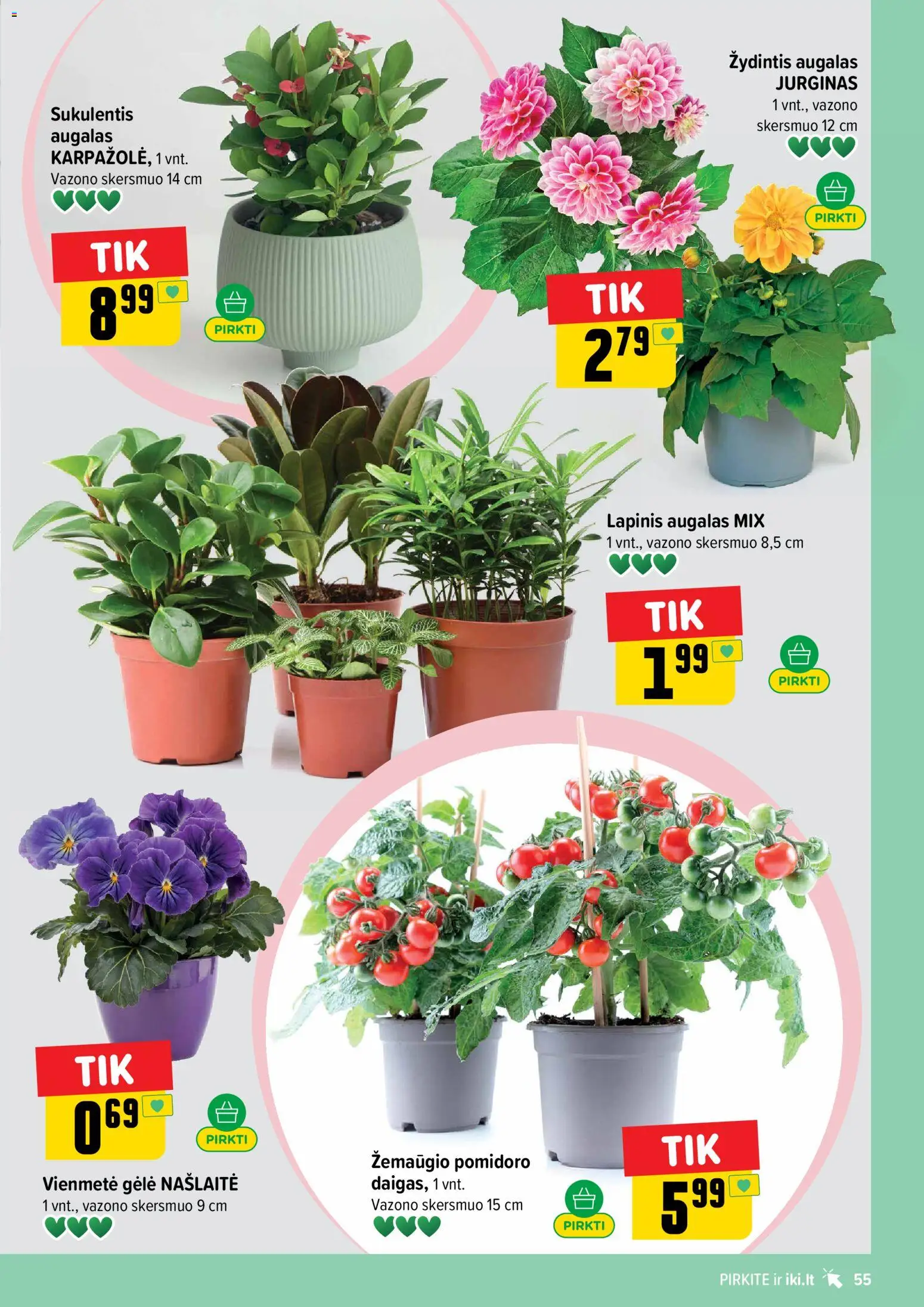 IKI akcijos nuo 13.04.2026 | Puslapis: 55