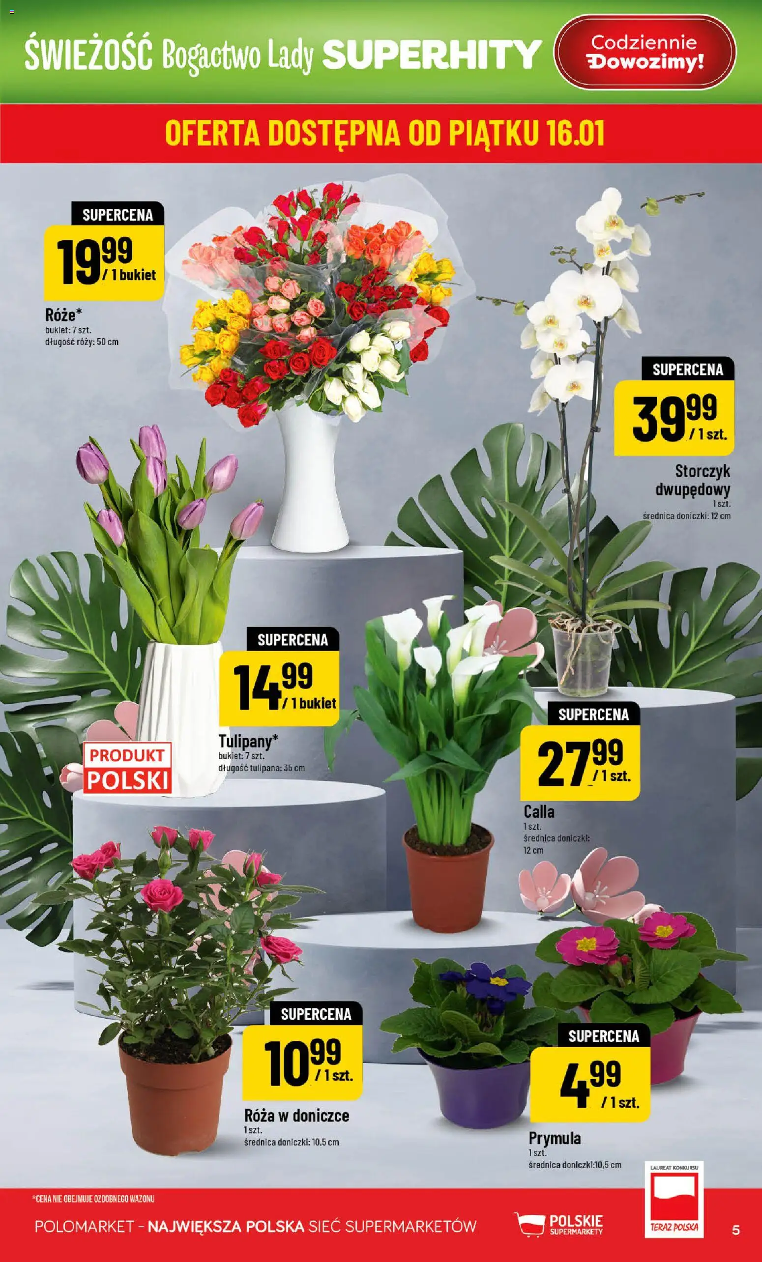 POLOmarket Gazetka od 14.01.2026 | Strona: 5 | Produkty: Doniczki, Róża w doniczce, Storczyk