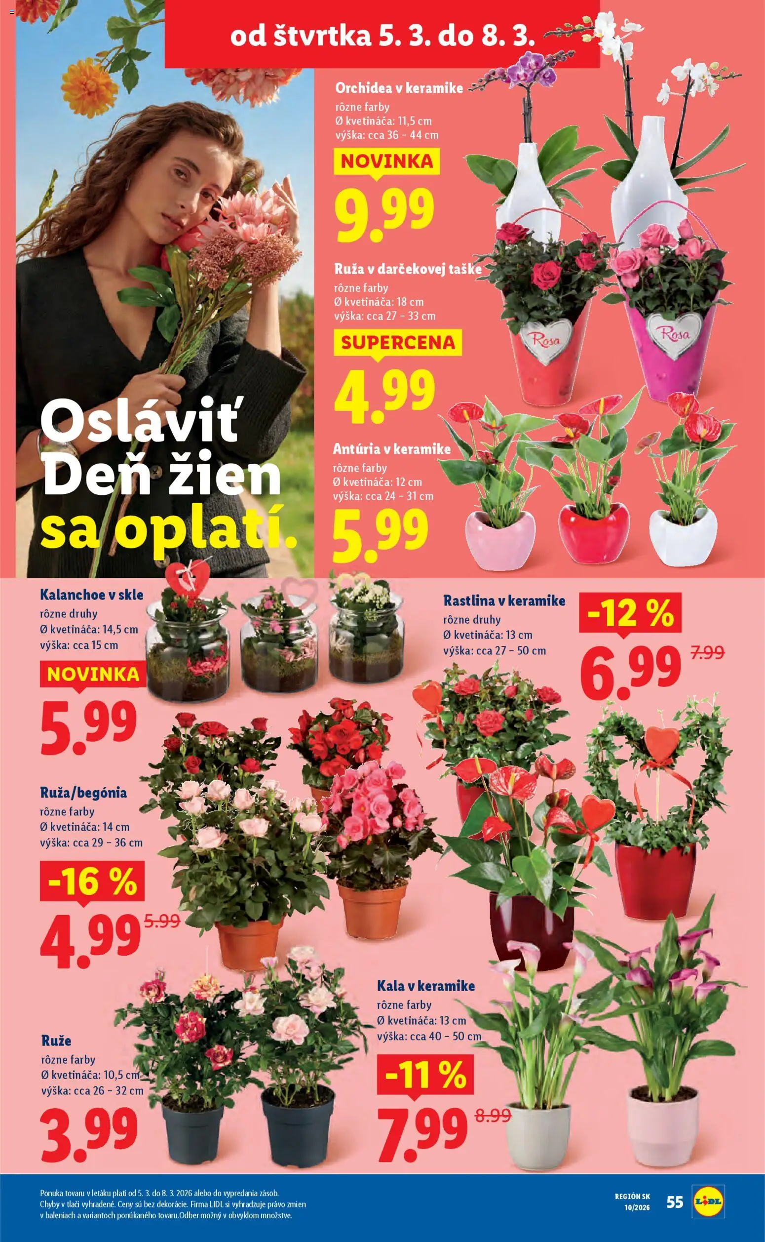 Nové Lidl akcie – leták je platný od 02.03.2026 | Strana: 73 | Produkty: Ruže, Orchidea