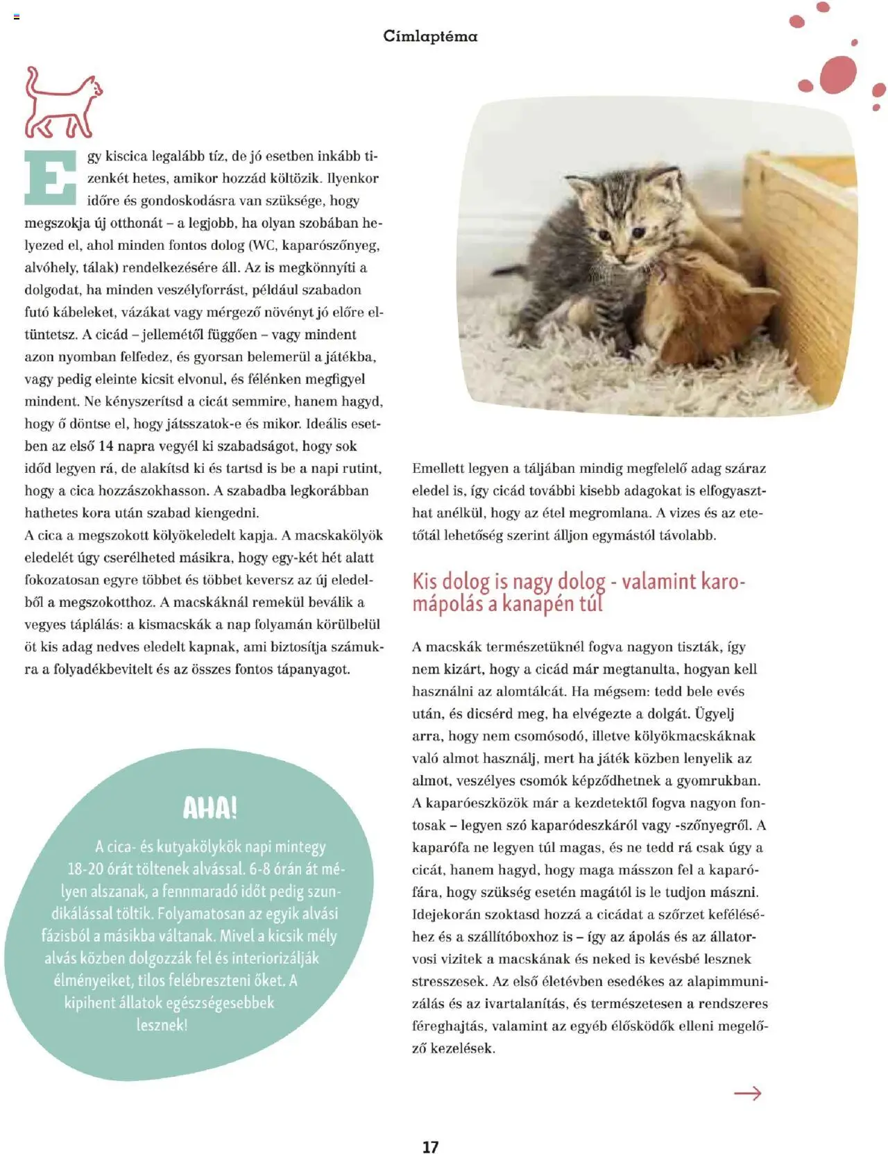 Fressnapf akciós ujság - amely érvényes a következő dátumtól: 05.05.2025 | Oldal: 17 | Termékek: Játék