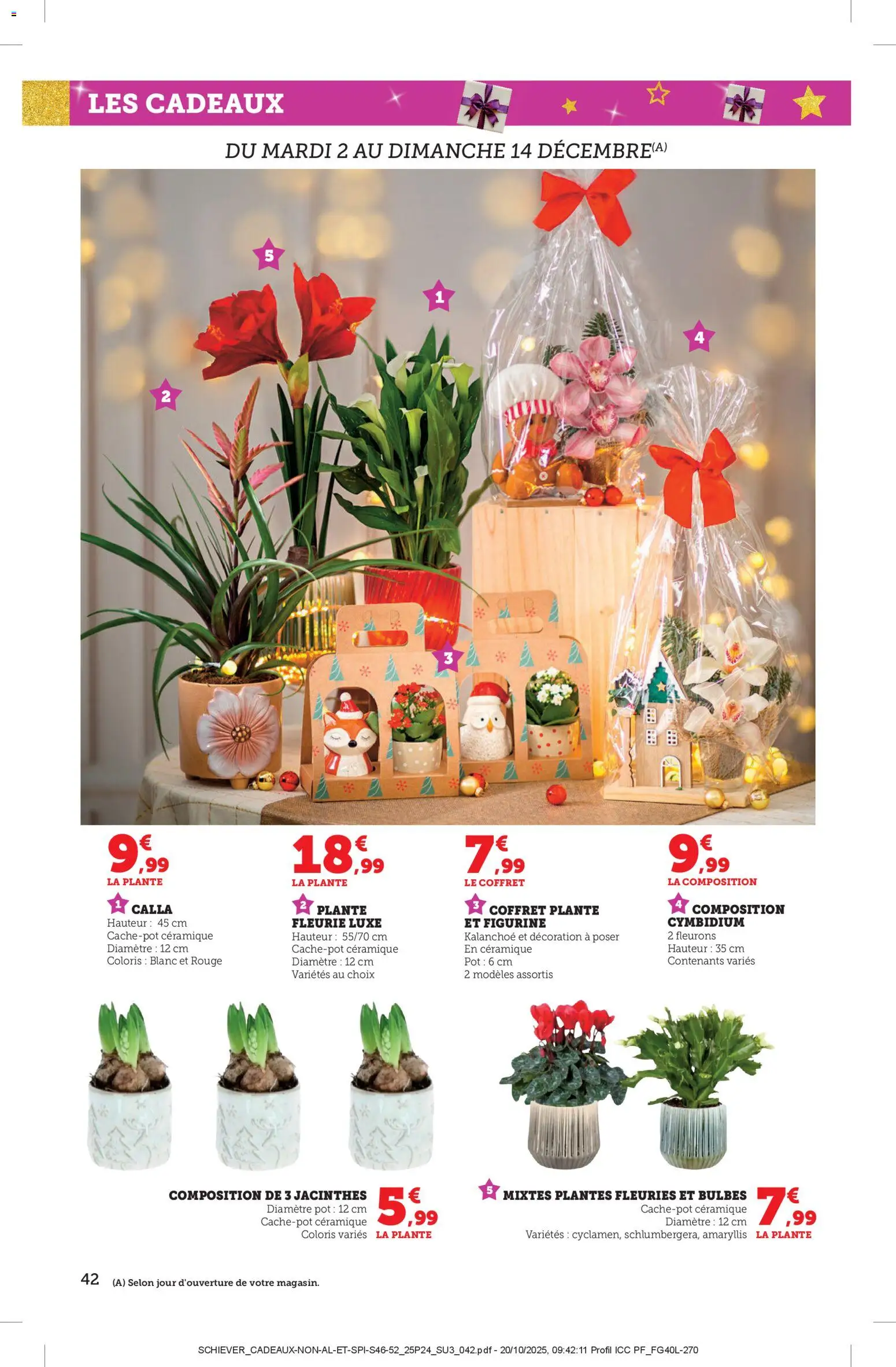 {H1} | Page: 42 | Produits: Plantes