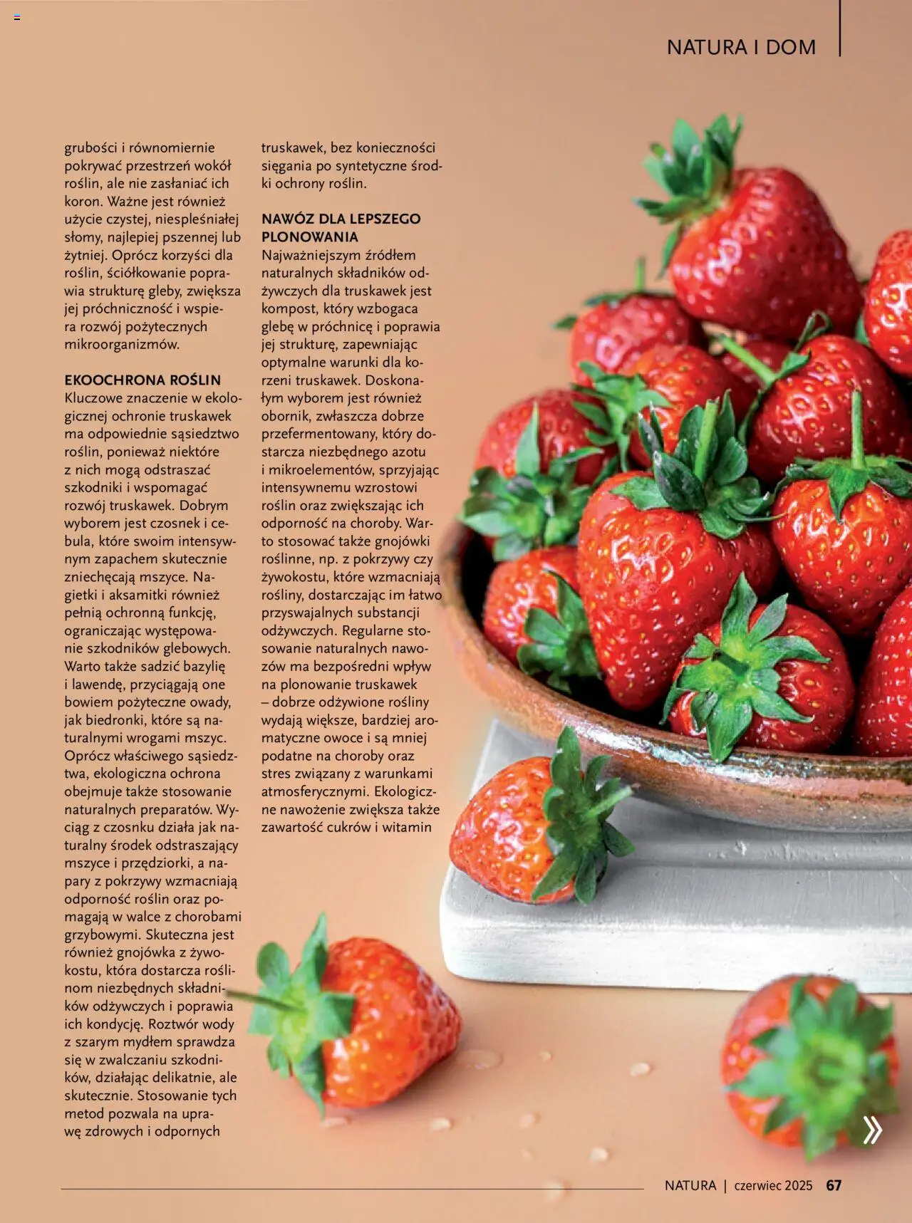 Drogerie Natura Gazetka - Magazyn Klubu Natura 06 od 01.06.2025 | Strona: 67 | Produkty: Czosnek, Rosliny, Truskawki, Owoce