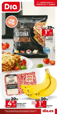 Vista previa Dia - folleto Market válido desde el 14.01.2026