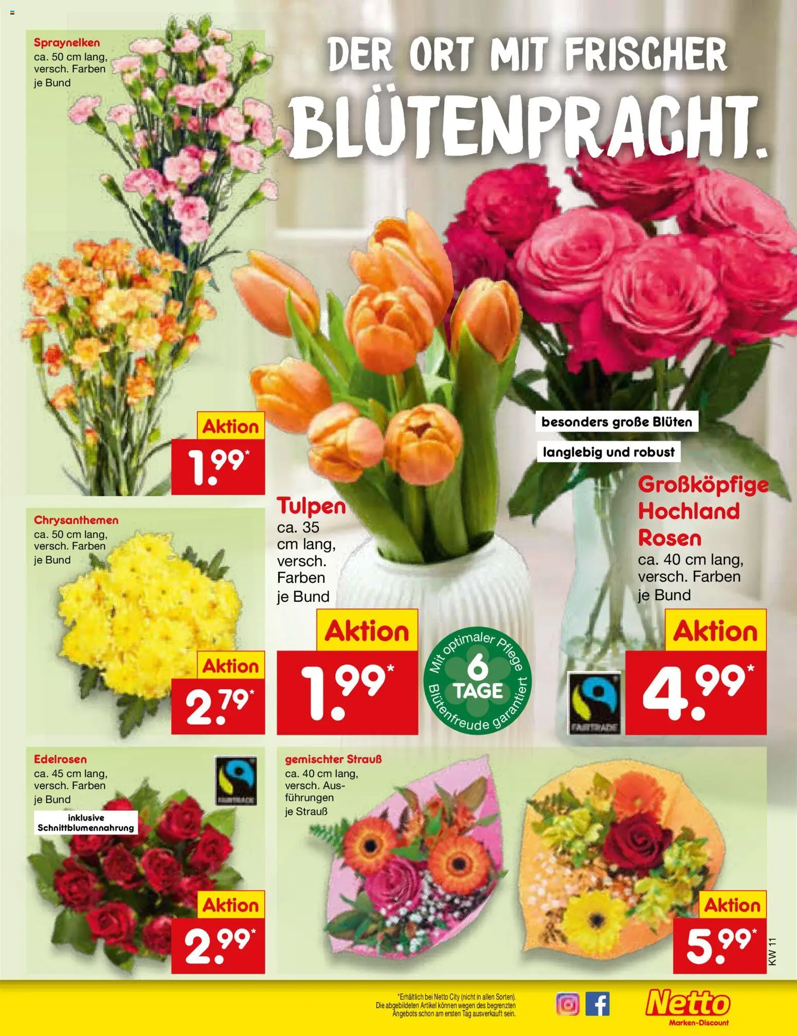 Netto Marken-Discount Prospekt 	 – gültig ab 09.03.2026 | Seite: 53