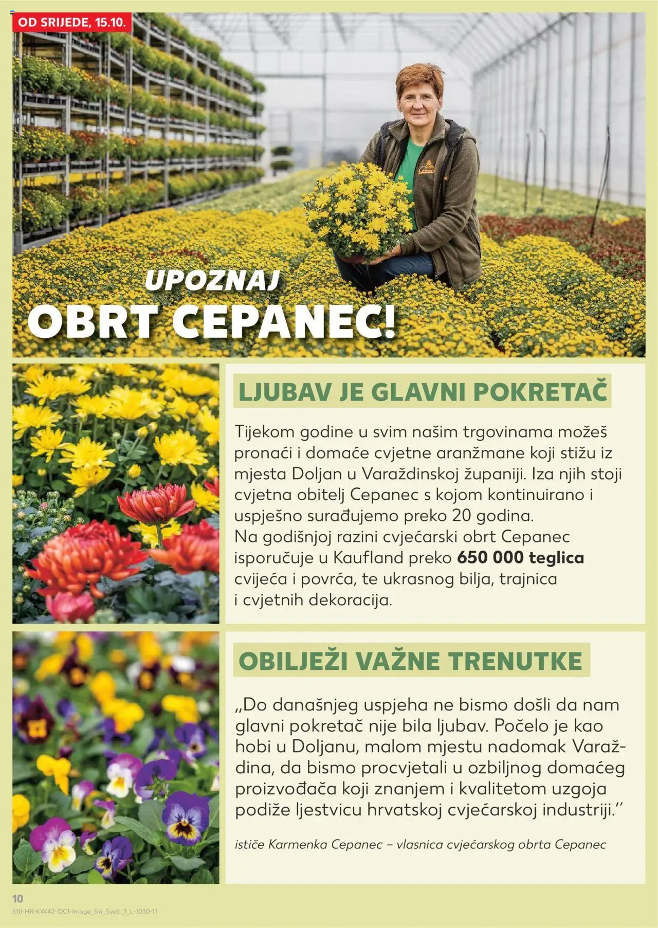 Kaufland katalog | vrijedi od 15.10.2025 | Stranica: 10