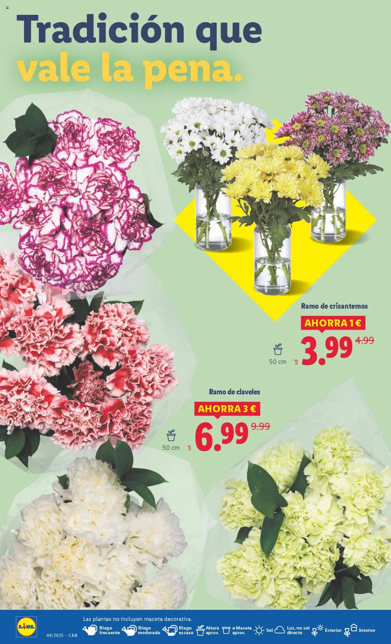 Lidl - Canarias │ válido desde el 27.10.2025 | Página: 16 | Productos: Maceta