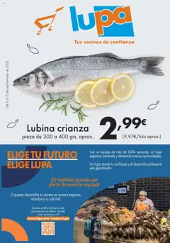 Vista previa Lupa Supermercados folleto válido desde el 11.09.2025