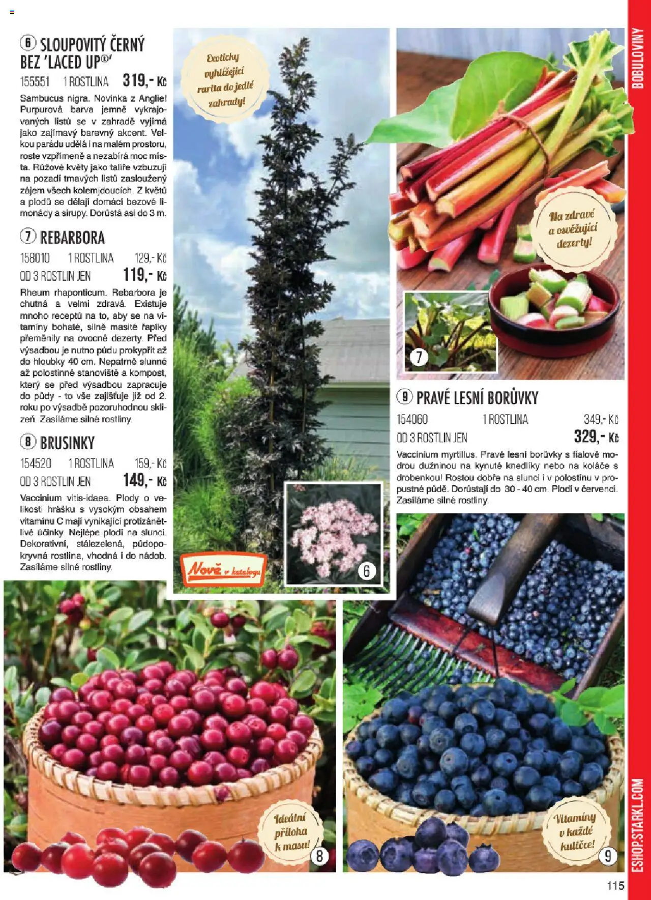 Starkl katalog jaro 2024 od 06.01.2025 | Strana: 115 | Produkty: Talíře, Dezerty, Vitamíny, Rostliny