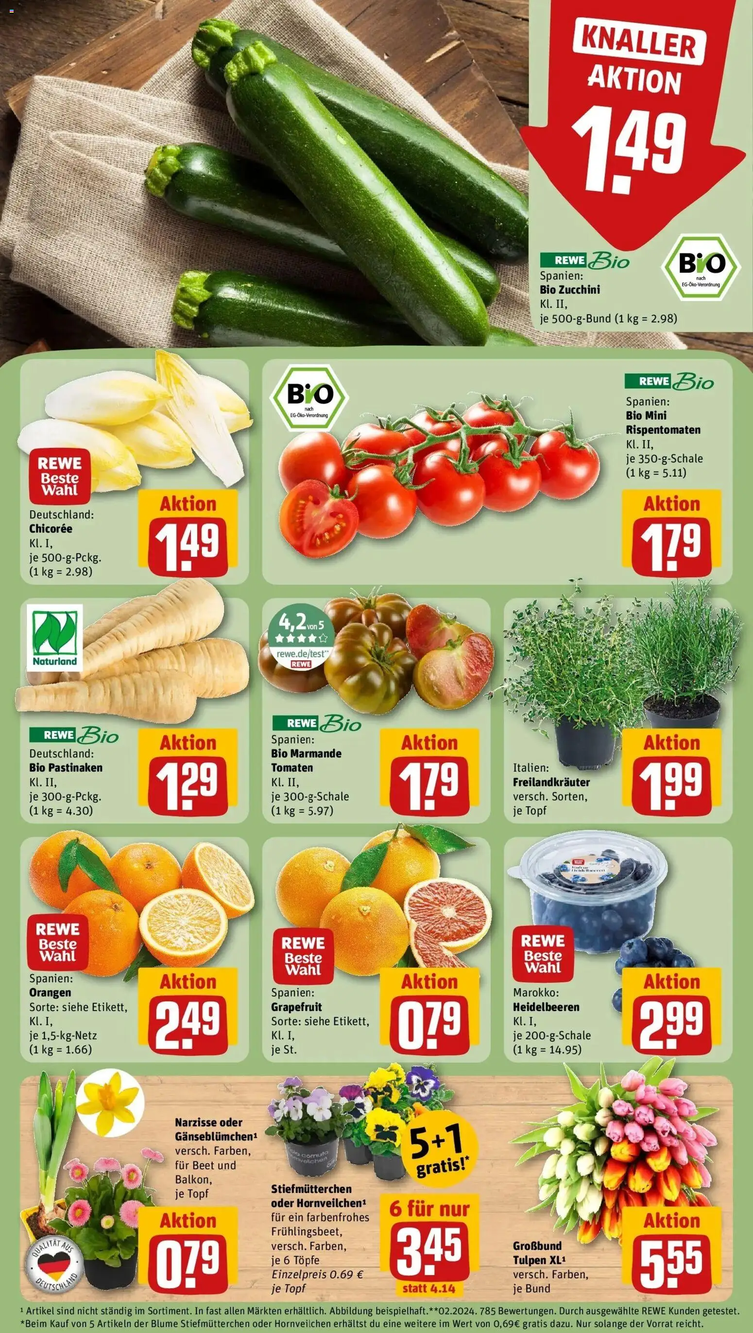 Rewe Prospekt Darmstadt / Martinsviertel	 – gültig ab 15.03.2026 | Seite: 9 | Produkte: Orangen, Tomaten, Grapefruit, Zucchini