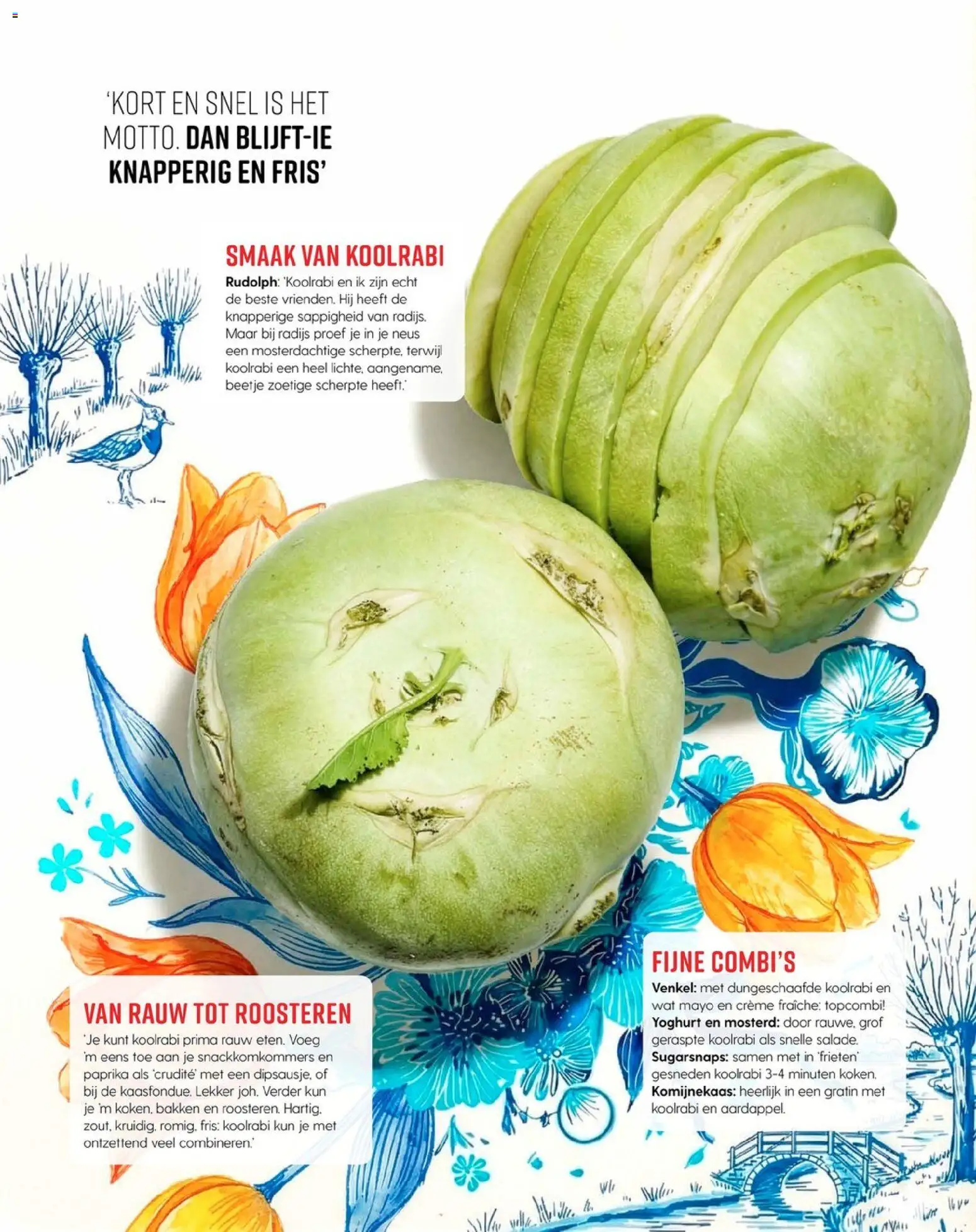 {H1} | Pagina: 30 | Producten: Yoghurt, Kan, Kész piskótalap, Crème