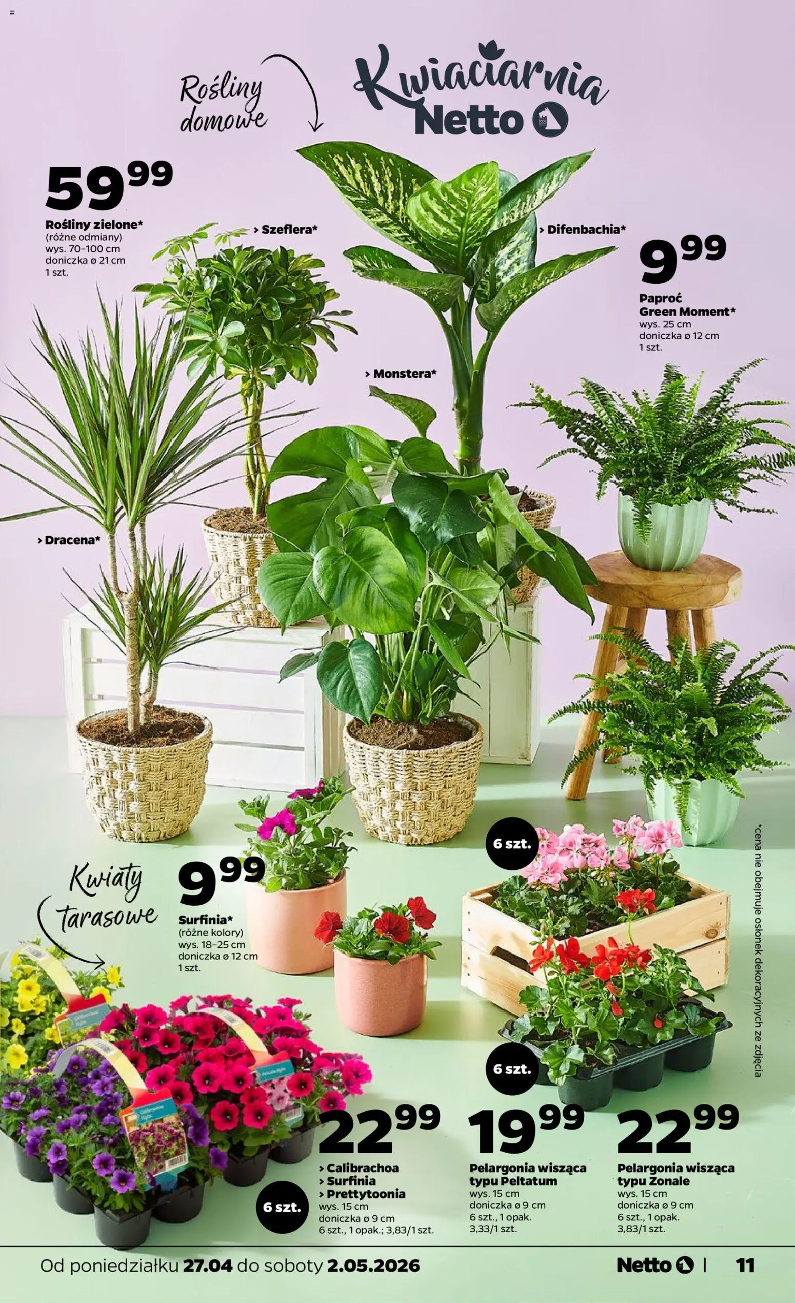Netto gazetka od poniedziałku spożywcza od 27.04.2026 | Strona: 11 | Produkty: Paproć, Doniczka, Rosliny, Kwiaty
