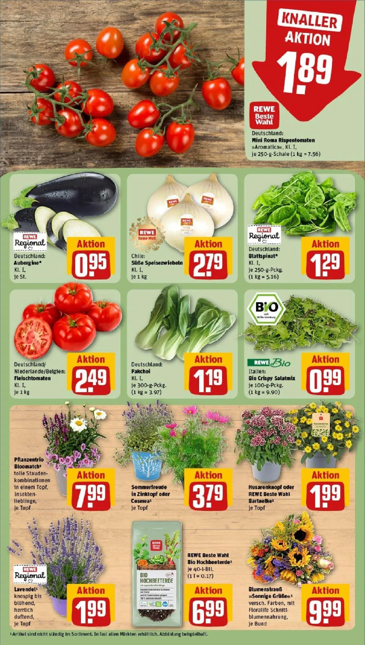 Rewe prospekt Ilvesheim	 - gültig ab dem 15.06.2025 | Seite: 7 | Produkte: Lavendel