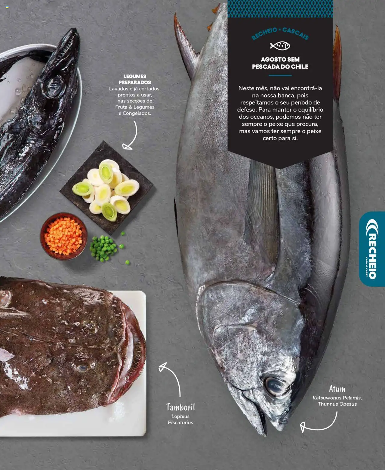 Recheio Peixaria │ válido de 19.09.2024 | Página: 13