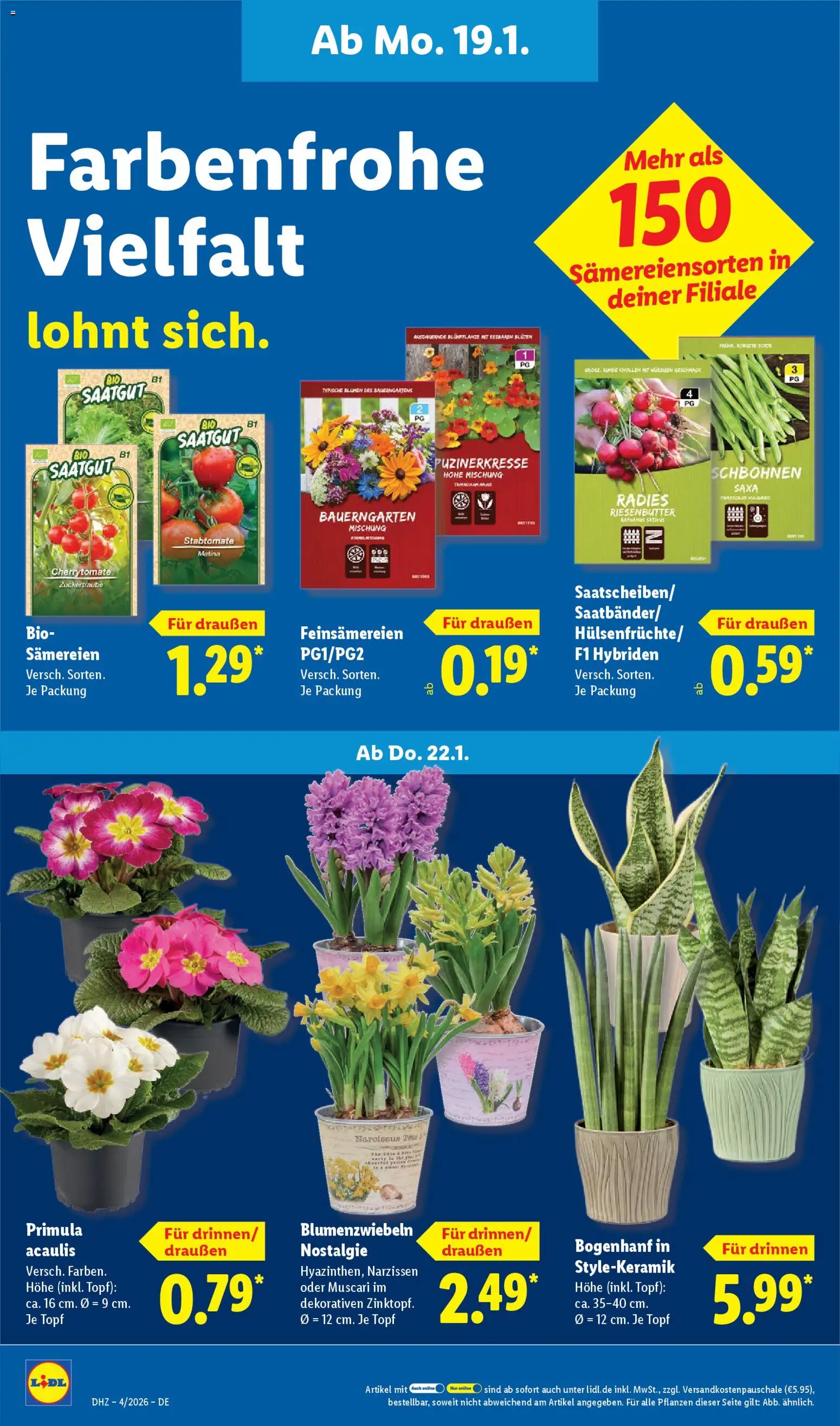 Lidl Prospekt Heppenheim – gültig ab 19.01.2026 | Seite: 60 | Produkte: Blumen