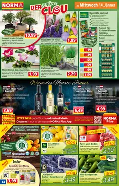 Norma Flugblatt ab 12.01.2026 gültig | Seite: 14 | Produkte: Gemüse, Obst, Duft, Äpfel
