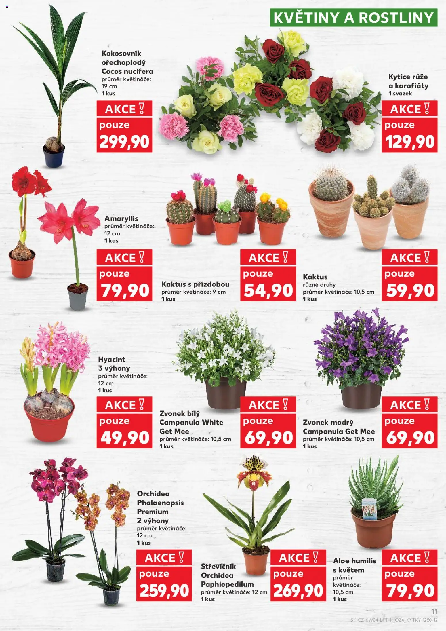 Kaufland leták - Chomutov od 21.01.2026 | Strana: 11 | Produkty: Květináče, Rostliny, Kytice, Květiny