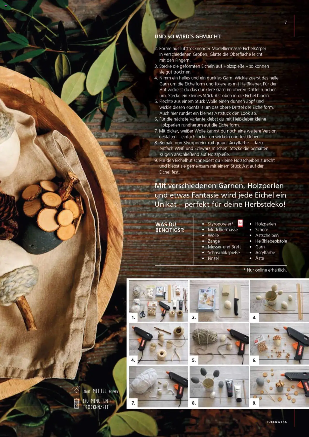 Pagro-Diskont Ideenwerk gültig ab 17.09.2025 | Seite: 7 | Produkte: Hut, Pinsel