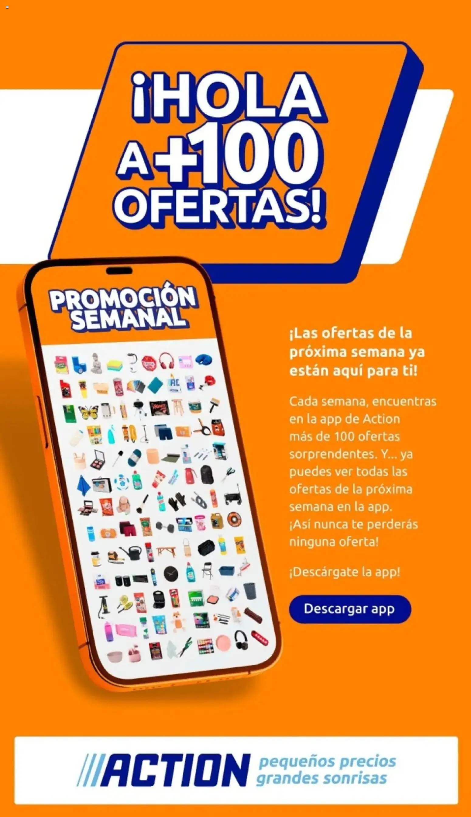 Action folleto │ válido desde el 11.02.2026 | Página: 31 | Productos: Té