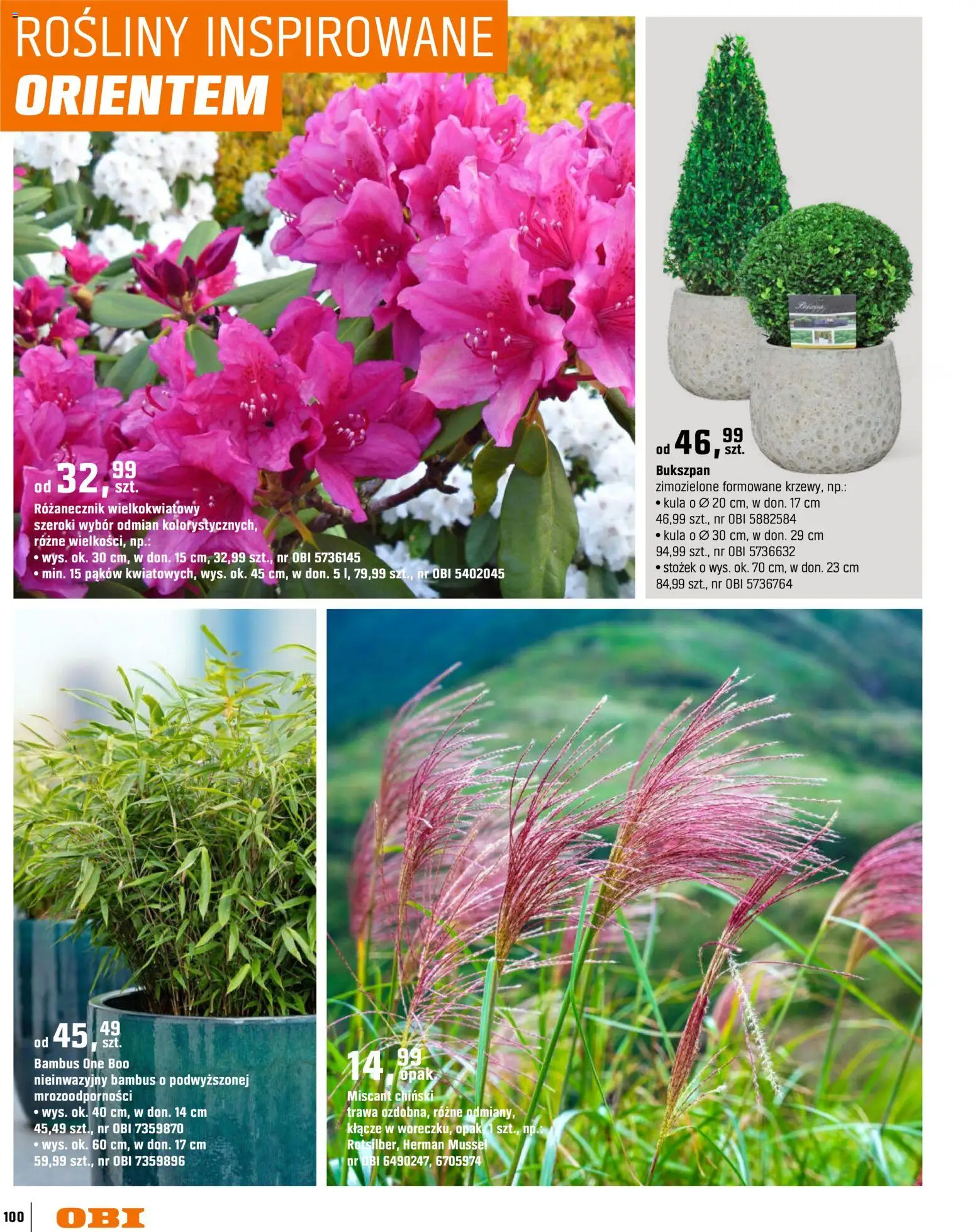 OBI gazetka - Ogród od 11.03.2026 | Strona: 100 | Produkty: Rosliny