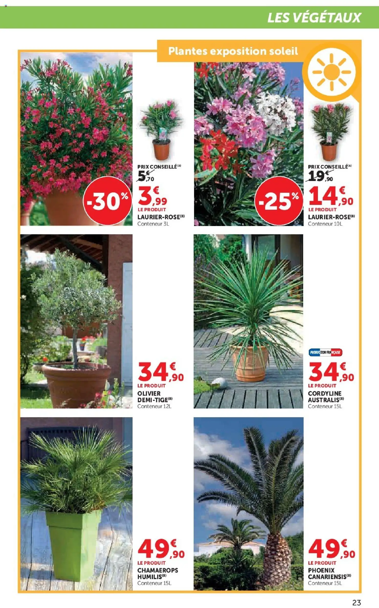 {H1} | Page: 23 | Produits: Plantes, Olivier