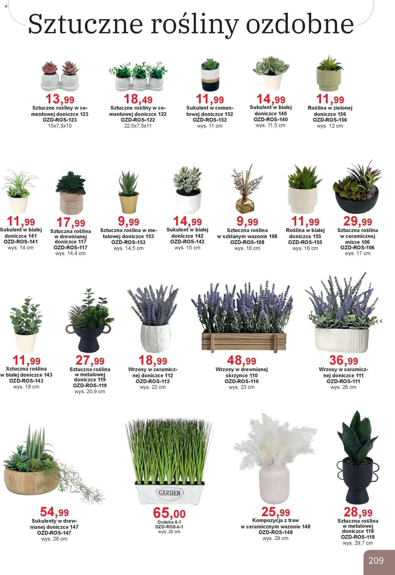 Bodzio Katalog od 01.01.2026 | Strona: 209 | Produkty: Rosliny