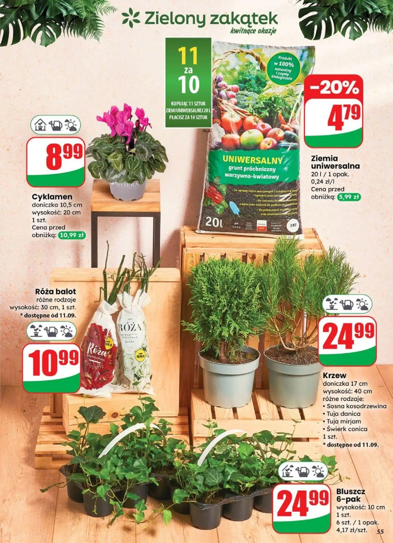 Dino Gazetka od 10.09.2025 | Strona: 55 | Produkty: Ziemia uniwersalna, Ziemia, Doniczka