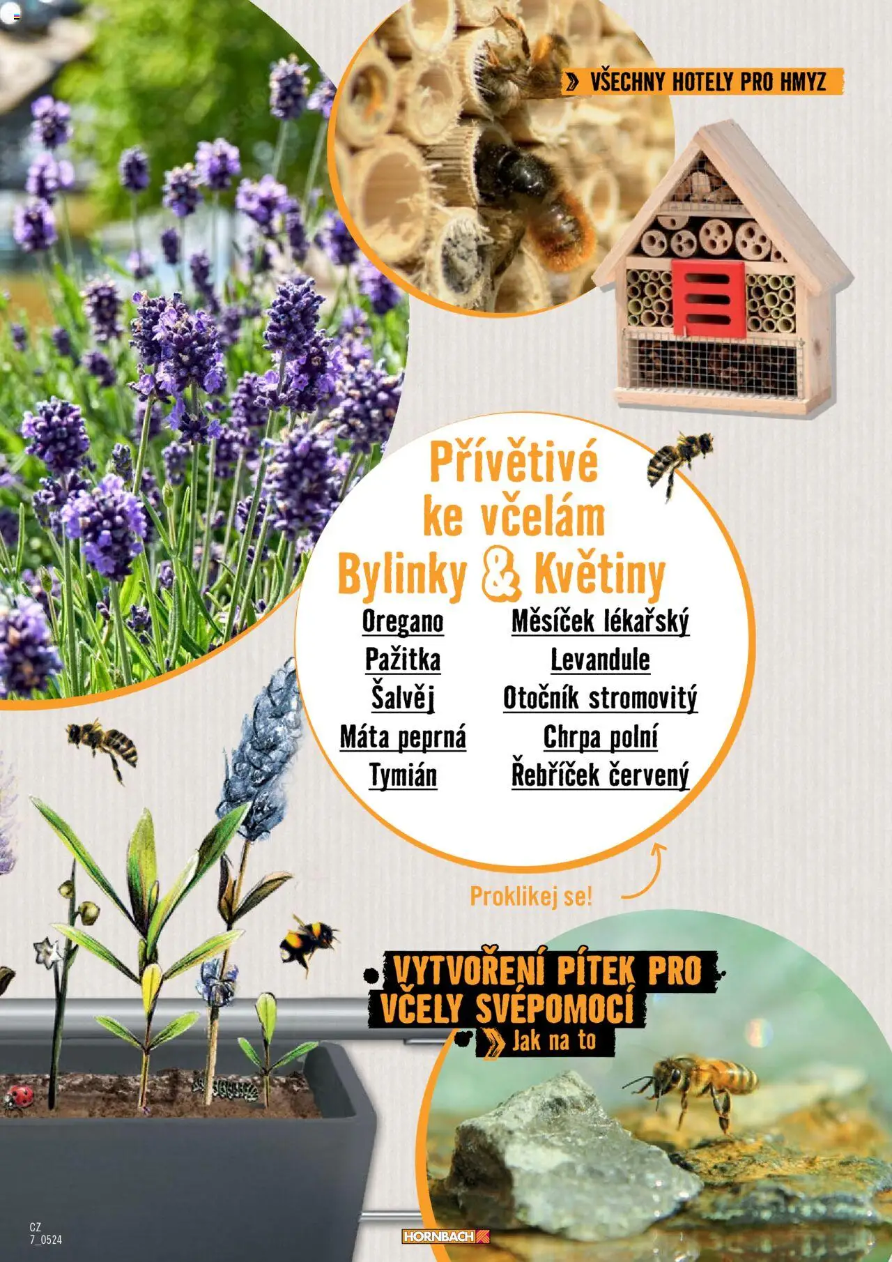 HORNBACH leták - Balkón od 13.08.2025 | Strana: 7 | Produkty: Květiny