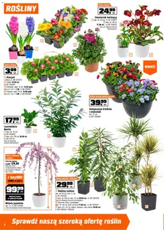 Pogląd oferty "OBI gazetka" - ważna od 11.03.2026 | Strona: 2 | Produkty: Doniczka, Rosliny