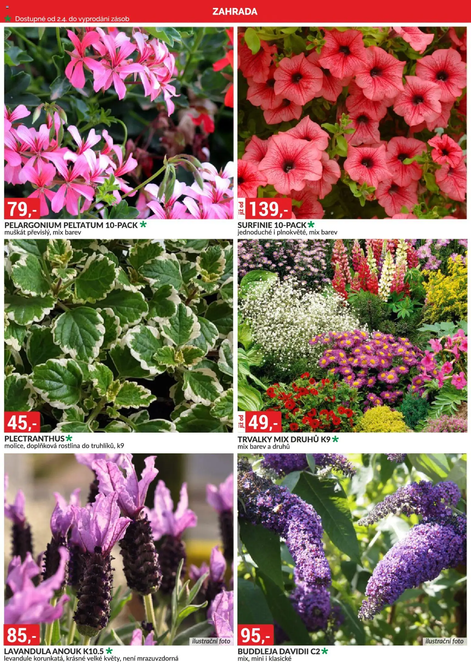 BAUMAX leták od 01.04.2026 | Strana: 2