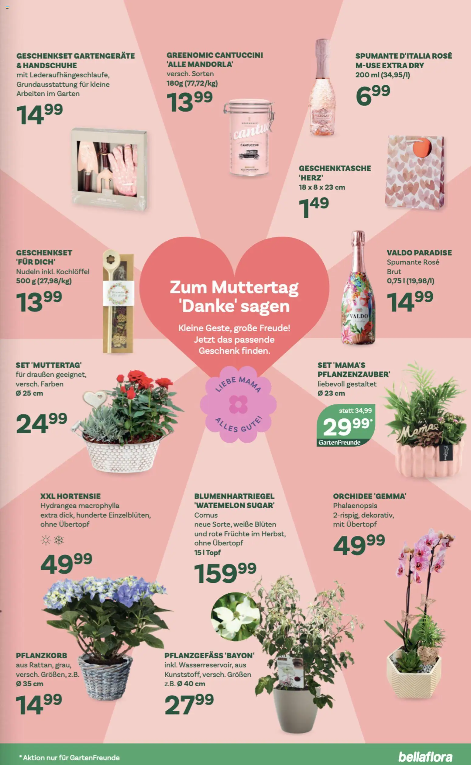 bellaflora Flugblatt gültig ab 23.04.2026 | Seite: 11 | Produkte: Handschuhe, Nudeln