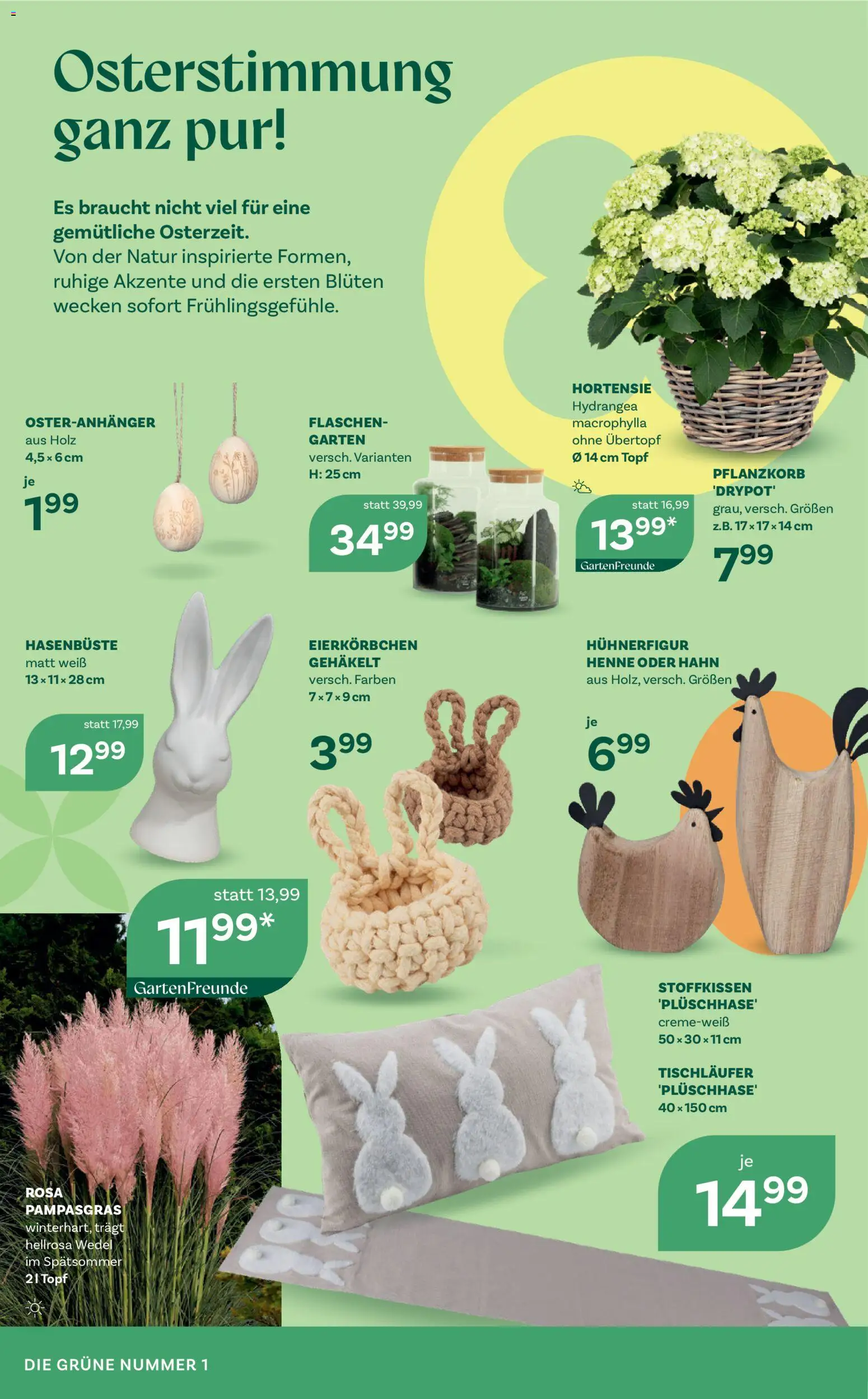 bellaflora Flugblatt gültig ab 12.03.2026 | Seite: 2