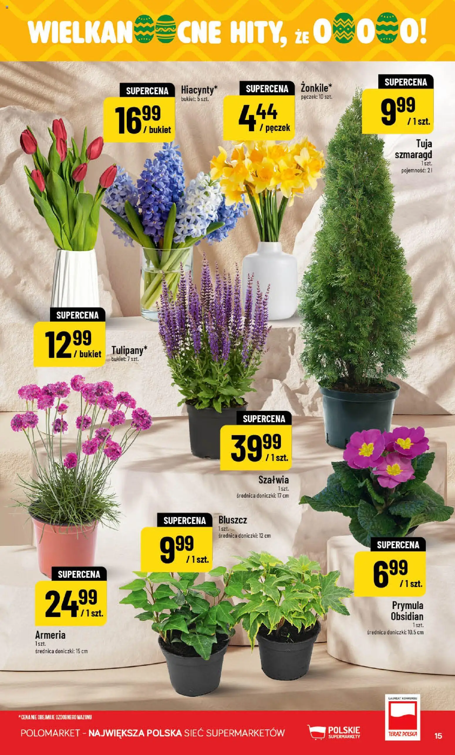POLOmarket gazetka od 18.03.2026 | Strona: 15 | Produkty: Doniczki