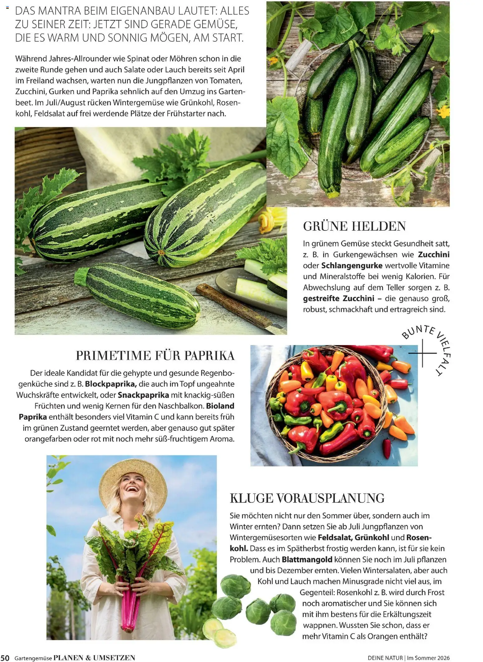 Dehner Flugblatt gültig ab 01.05.2026 | Seite: 50 | Produkte: Gurken, Gemüse, Orangen