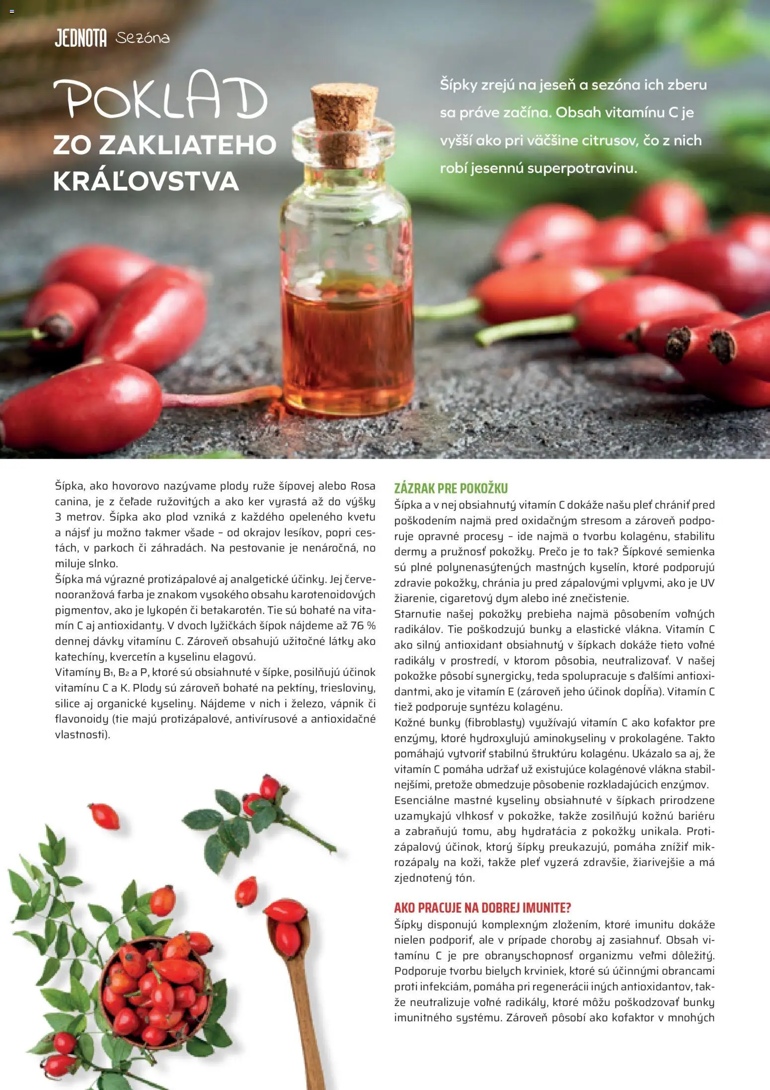 Nové COOP Jednota akcie – leták je platný od 01.11.2025 | Strana: 6 | Produkty: Ruže