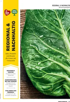 Billa  Frisch Gekocht ab 01.12.2025 gültig | Seite: 89 | Produkte: Avocado