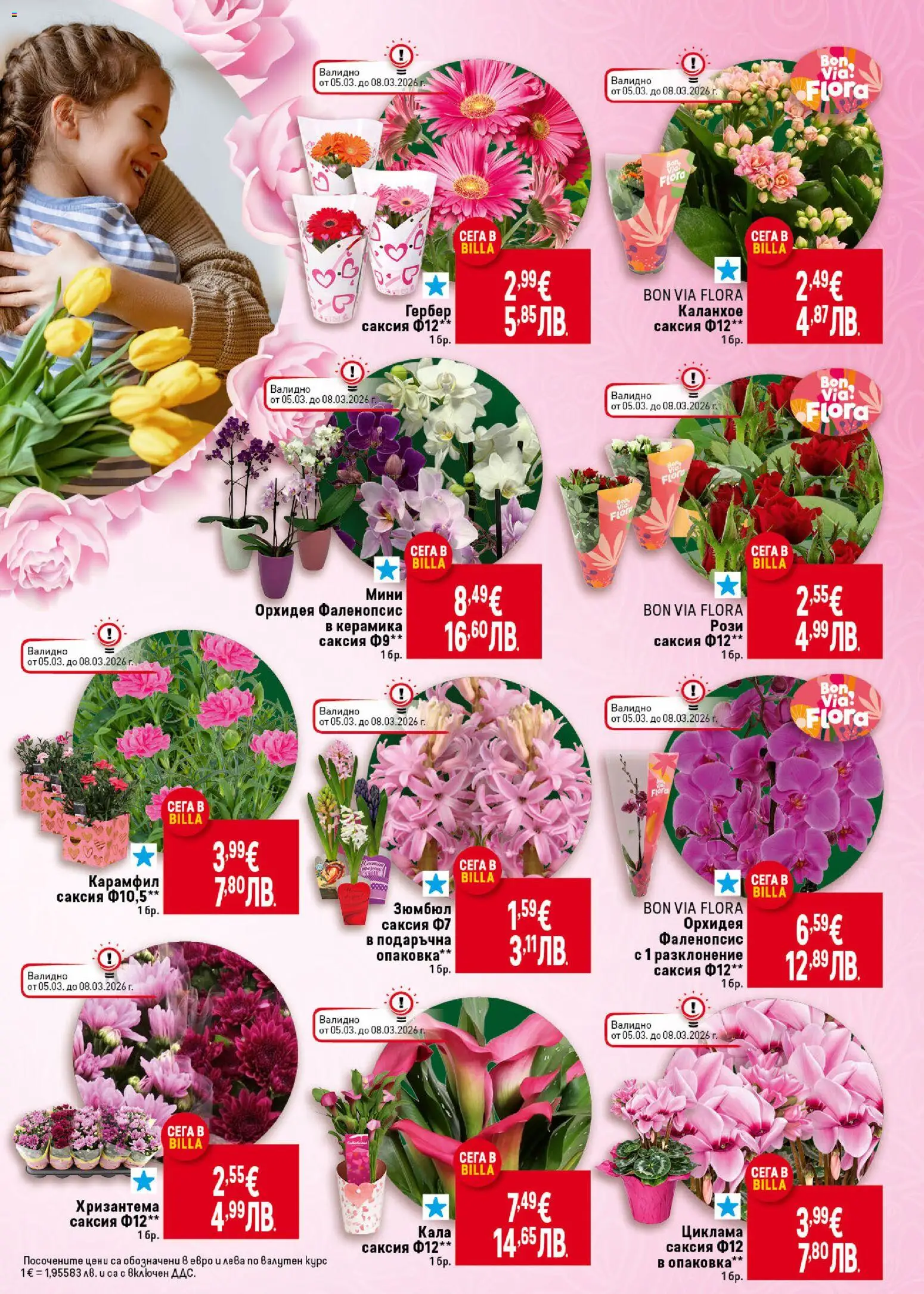 {H1} | Страница: 7 | Продукти: Орхидея, Хризантема, Карамфил, Саксия