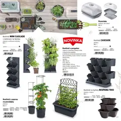 Kinekus leták platný od 02.03.2026 | Strana: 39 | Produkty: Paradajky, Kvetináč