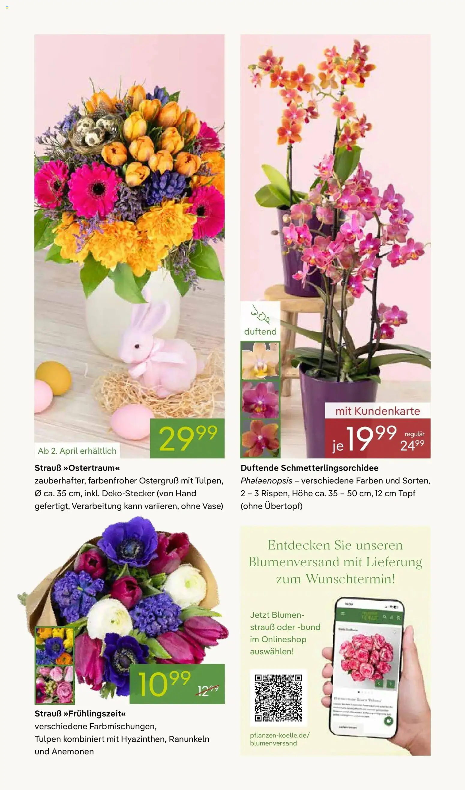 Pflanzen-Kölle - Pflanzen-Kölle: Blühende Osterzeit – gültig ab 30.03.2026 | Seite: 3 | Produkte: Blumen, Vase