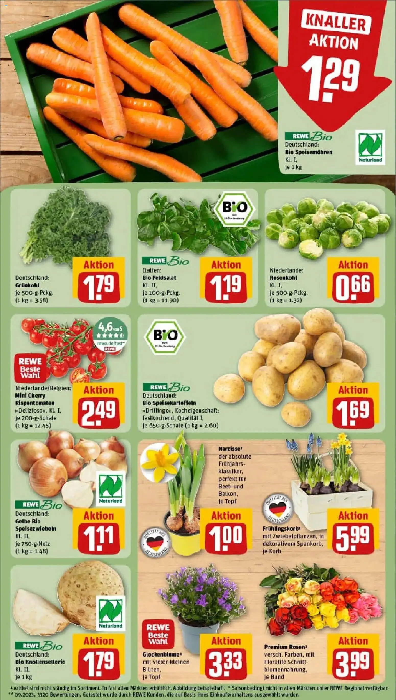 Rewe prospekt Bad Orb	 – gültig ab 11.01.2026 | Seite: 7 | Produkte: Korb