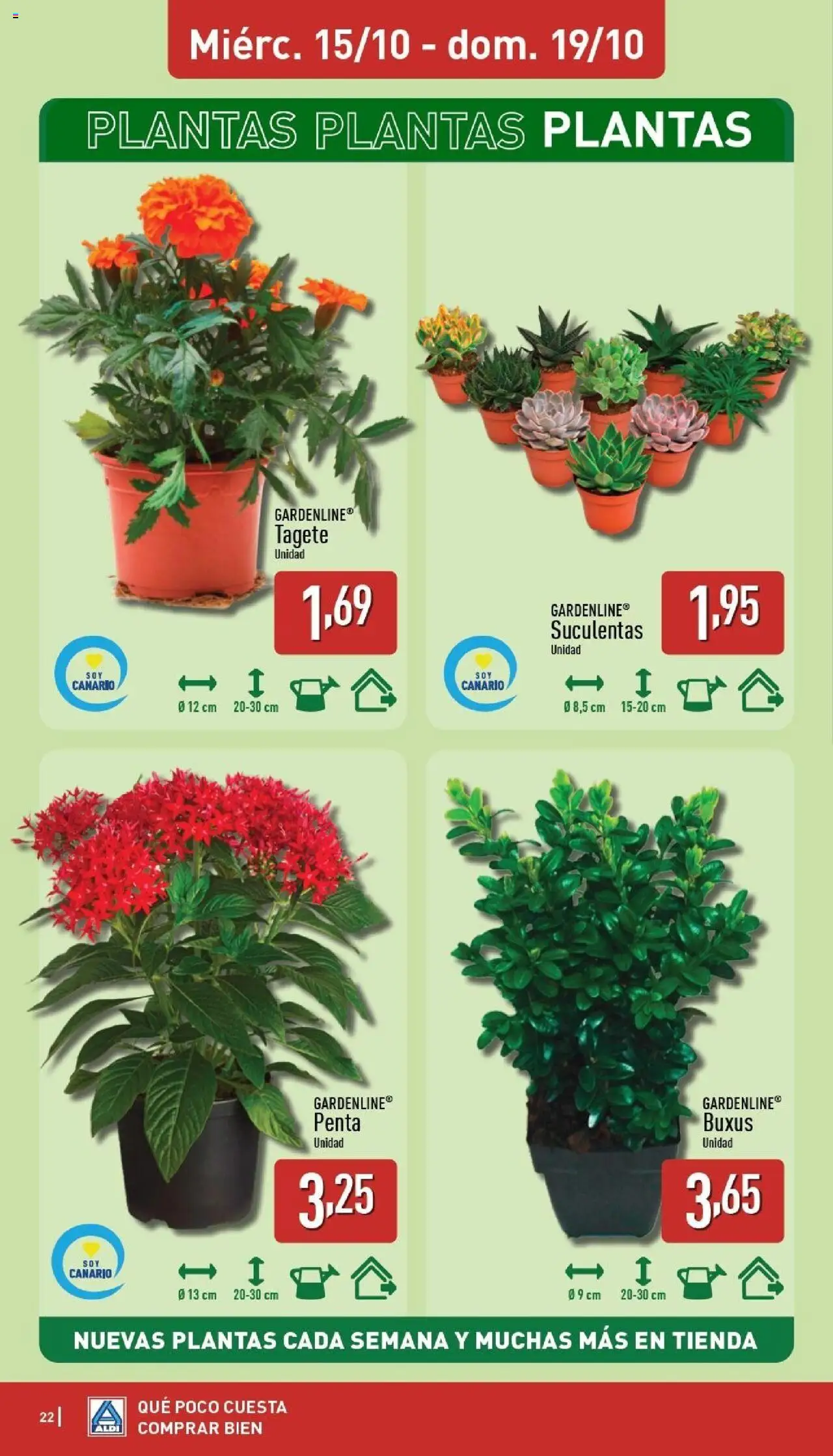 Aldi folleto Canarias │ válido desde el 13.10.2025 | Página: 22