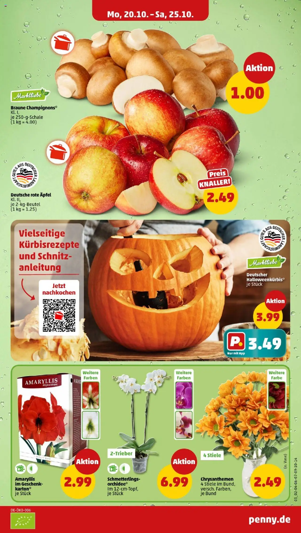 Penny - Baden-Württemberg – gültig ab 20.10.2025 | Seite: 3 | Produkte: Orchidee, Vase, Äpfel, Champignons