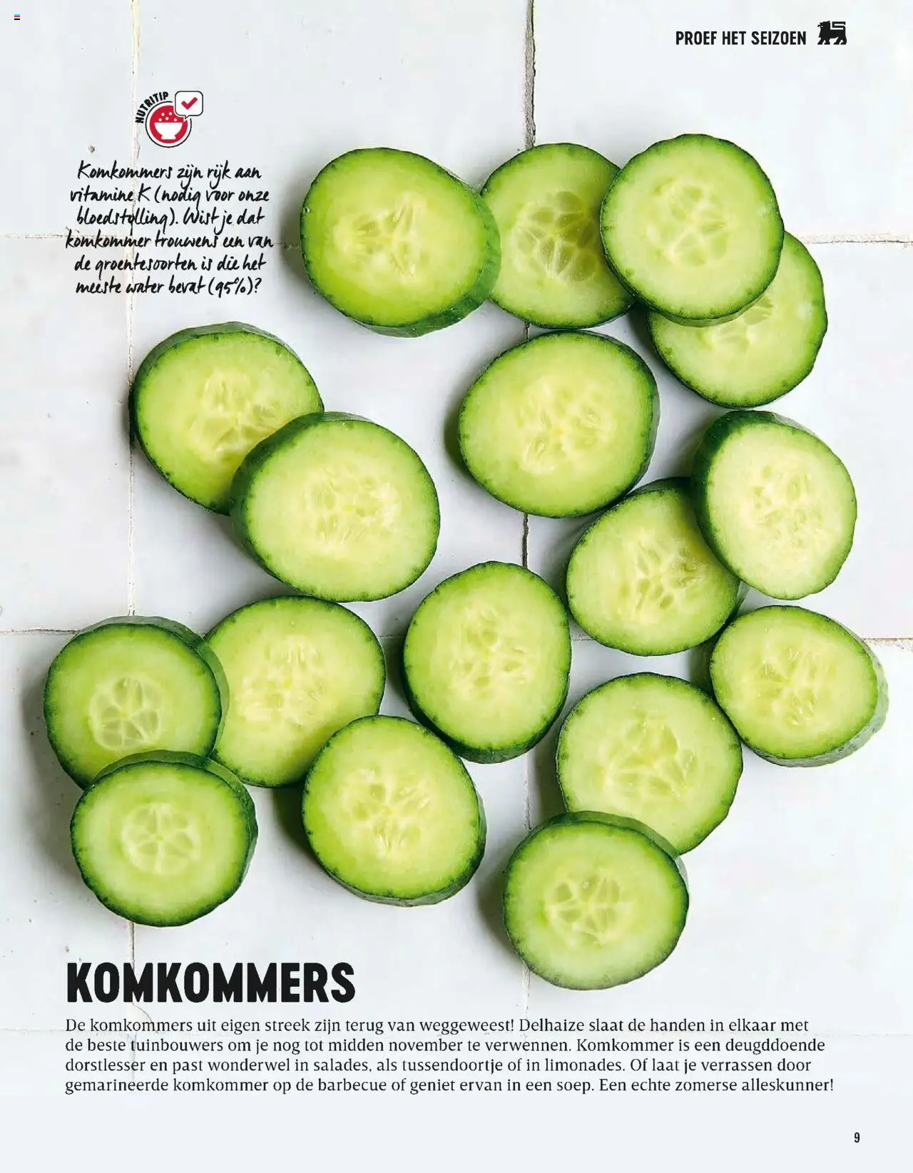  | Pagina: 9 | Producten: Komkommers, Komkommer