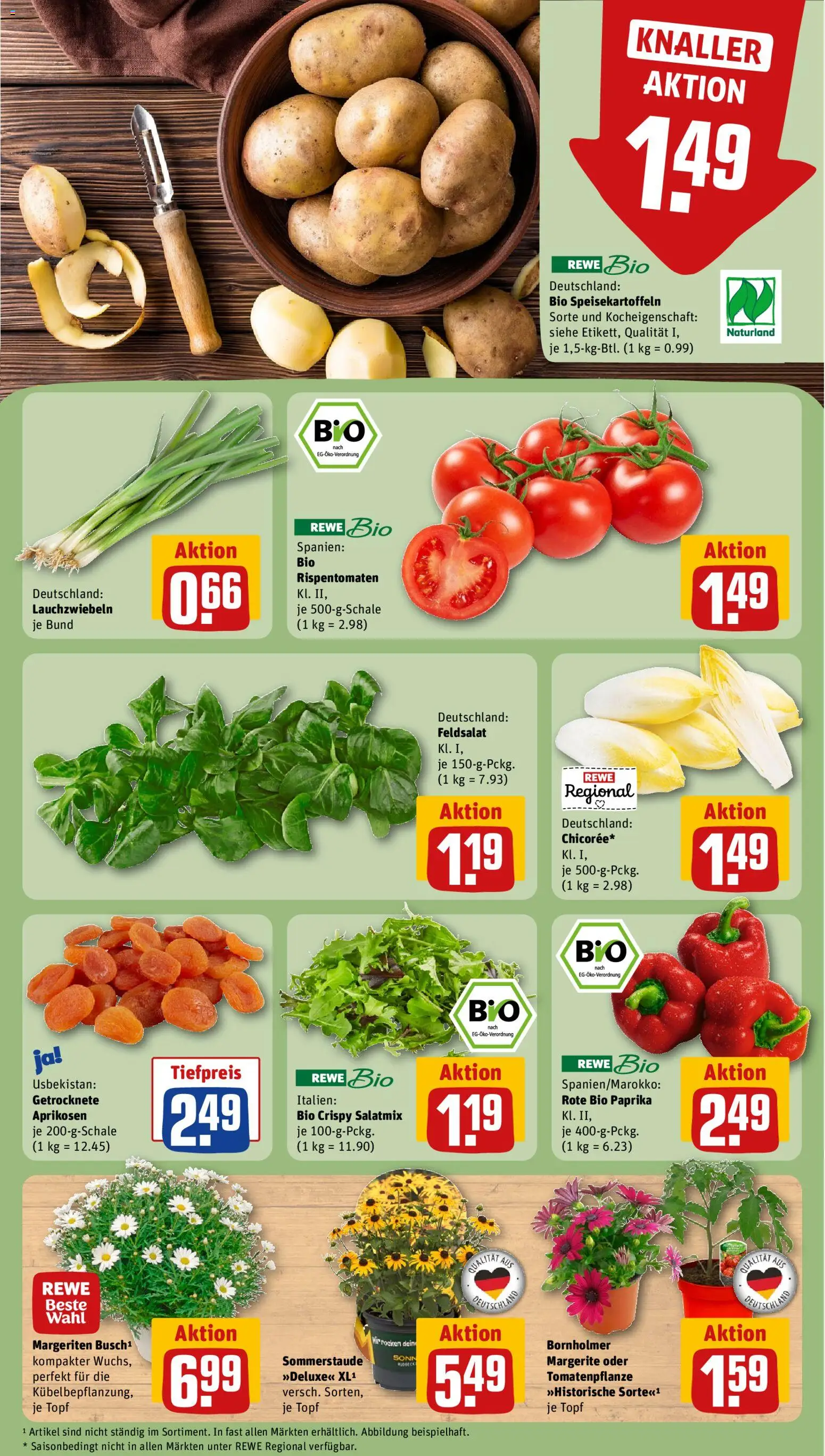 Rewe Prospekt 	 – gültig ab 27.04.2026 | Seite: 7 | Produkte: Paprika