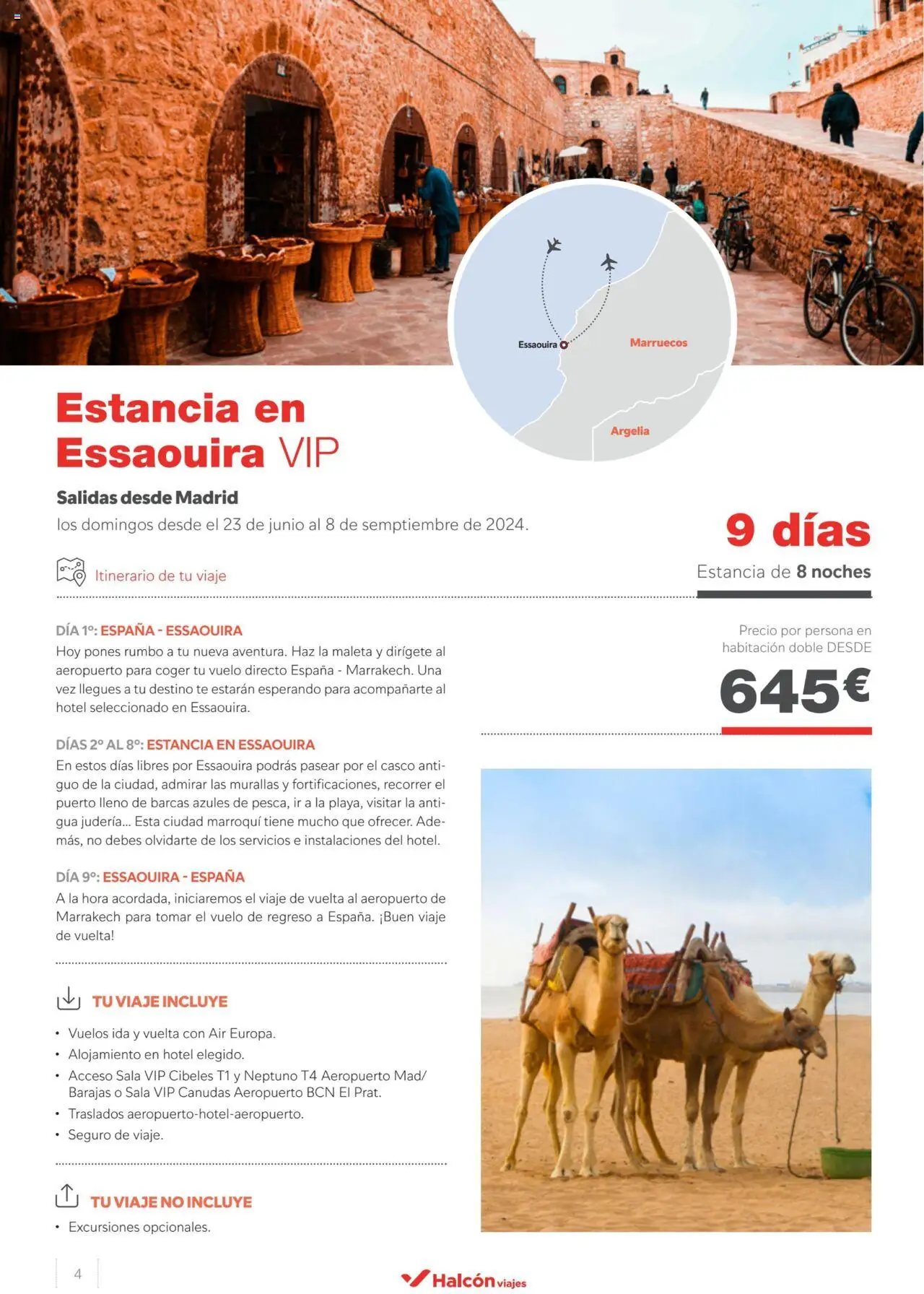 Halcón Viajes Marruecos  │ válido desde el 10.05.2024 | Página: 4 | Productos: Maleta, Té